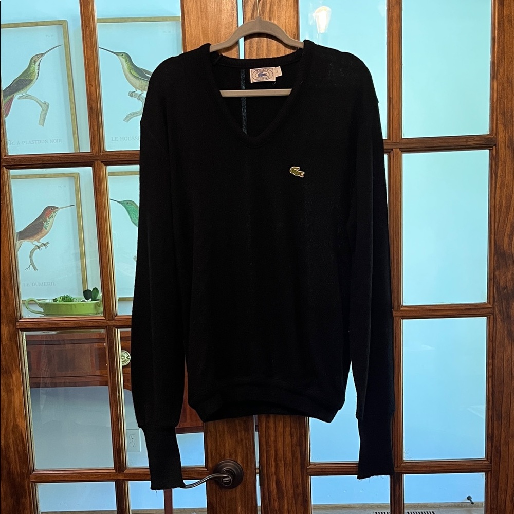 Lacoste Men's V-Neck Sweater in Black